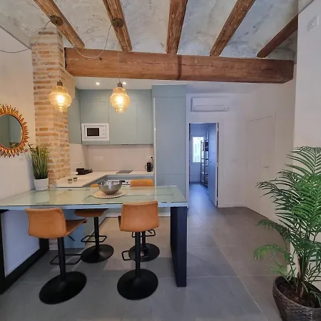 Céntrica Y Encantadora Vivienda. Appartement Valence